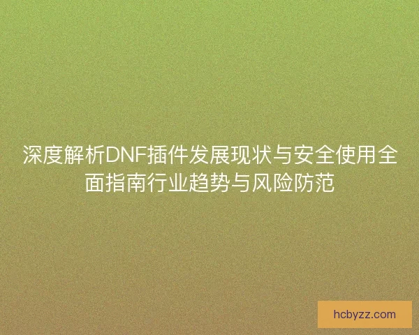 深度解析DNF插件发展现状与安全使用全面指南行业趋势与风险防范