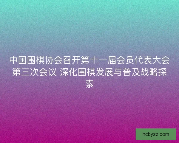 中国围棋协会召开第十一届会员代表大会第三次会议 深化围棋发展与普及战略探索
